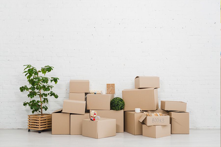 What Are the Different Types of Moving Services?