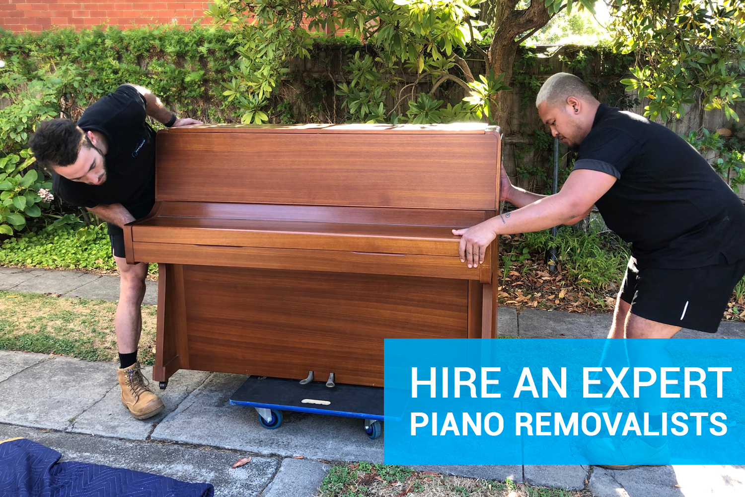 Professional Piano Removalists