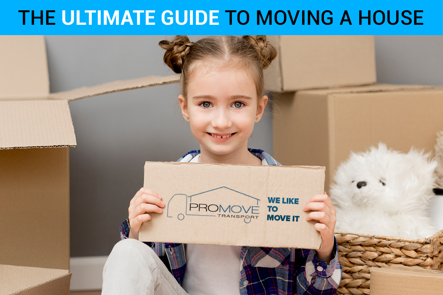 The Ultimate Guide to Moving a House