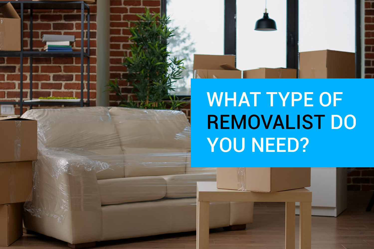 What Type of Removalist Do You Need? Finding the Right Team for Your Job