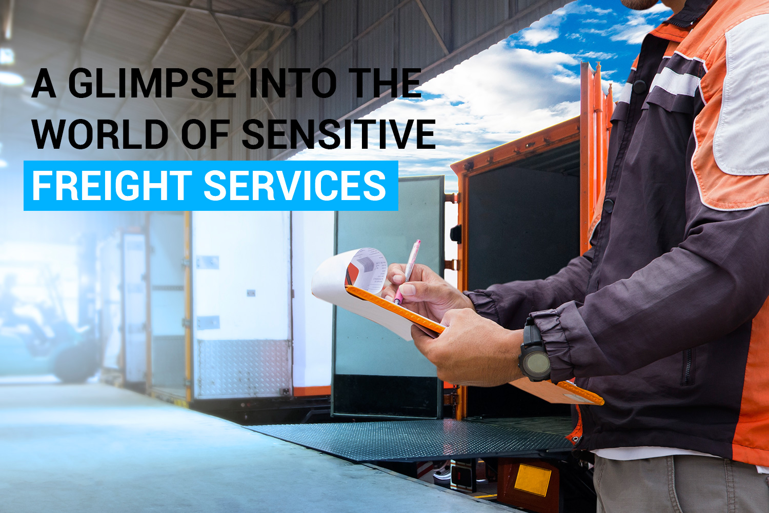 Melbourne’s Gentle Touch – A Glimpse Into the World of Sensitive Freight Services