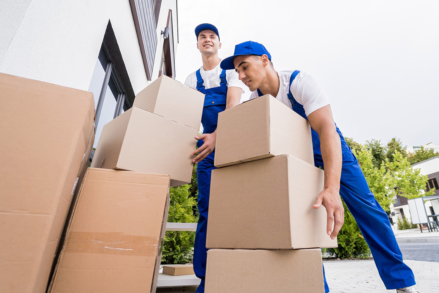 Professional Movers in Melbourne
